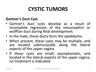Vaginal lesions.pptx