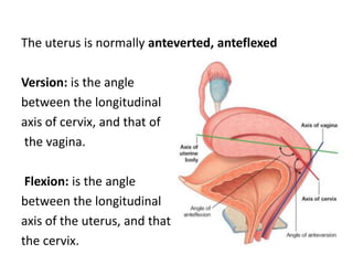 The uterus is normally anteverted, anteflexed
Version: is the angle
between the longitudinal
axis of cervix, and that of
the vagina.
Flexion: is the angle
between the longitudinal
axis of the uterus, and that of
the cervix.
 