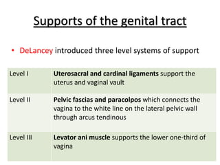 Supports of the genital tract
• DeLancey introduced three level systems of support
Level I Uterosacral and cardinal ligaments support the
uterus and vaginal vault
Level II Pelvic fascias and paracolpos which connects the
vagina to the white line on the lateral pelvic wall
through arcus tendinous
Level III Levator ani muscle supports the lower one-third of
vagina
 
