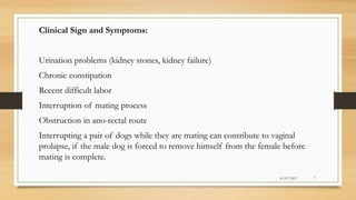 01/07/2017 7
Clinical Sign and Symptoms:
Urination problems (kidney stones, kidney failure)
Chronic constipation
Recent difficult labor
Interruption of mating process
Obstruction in ano-rectal route
Interrupting a pair of dogs while they are mating can contribute to vaginal
prolapse, if the male dog is forced to remove himself from the female before
mating is complete.
 