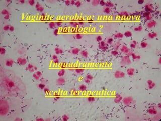 Vaginite aerobica: una nuova patologia ? Inquadramento  e  scelta terapeutica 