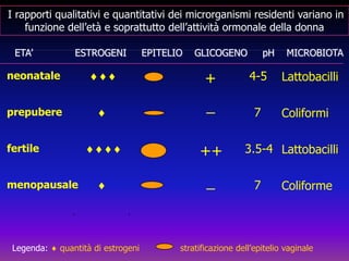 ETA’              ESTROGENI     EPITELIO    GLICOGENO     pH    MICROBIOTA+neonatale¨¨¨4-5Lattobacilli_prepubere¨7Coliformi++fertile¨¨¨¨3.5-4Lattobacilli_menopausale¨7ColiformeI rapporti qualitativi e quantitativi dei microrganismi residenti variano in funzione dell’età e soprattutto dell’attività ormonale della donnaLegenda: quantità di estrogeni               stratificazione dell’epitelio vaginale