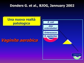 Donders G. et al., BJOG, Jannuary 2002Una nuova realtà patologica E. coliAltrienterobatteriEnterococcchiVaginite aerobicaS. agalactiaeLattobacilli