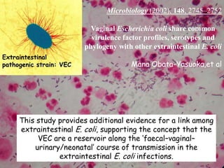 Staphylococcus aureus