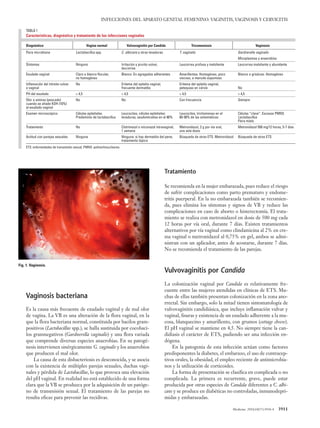 Medicine. 2010;10(57):3910-4   3911
Infecciones del aparato genital femenino: vaginitis, vaginosis y cervicitis
Vaginosis bacteriana
Es la causa más frecuente de exudado vaginal y de mal olor
de vagina. La VB es una alteración de la flora vaginal, en la
que la flora bacteriana normal, constituida por bacilos gram-
positivos (Lactobacillus spp.), se halla sustituida por cocobaci-
los gramnegativos (Gardnerella vaginalis) y una flora variada
que comprende diversas especies anaerobias. En su patogé-
nesis intervienen sinérgicamente G. vaginalis y los anaerobios
que producen el mal olor.
La causa de esta disbacteriosis es desconocida, y se asocia
con la existencia de múltiples parejas sexuales, duchas vagi-
nales y pérdida de Lactobacillus, lo que provoca una elevación
del pH vaginal. En realidad no está establecido de una forma
clara que la VB se produzca por la adquisición de un patóge-
no de transmisión sexual. El tratamiento de las parejas no
resulta eficaz para prevenir las recidivas.
Tratamiento
Se recomienda en la mujer embarazada, pues reduce el riesgo
de sufrir complicaciones como parto prematuro y endome-
tritis puerperal. En la no embarazada también se recomien-
da, pues elimina los síntomas y signos de VB y reduce las
complicaciones en caso de aborto o histerectomía. El trata-
miento se realiza con metronidazol en dosis de 500 mg cada
12 horas por vía oral, durante 7 días. Existen tratamientos
alternativos por vía vaginal como clindamicina al 2% en cre-
ma vaginal o metronidazol al 0,75% en gel, ambos se admi-
nistran con un aplicador, antes de acostarse, durante 7 días.
No se recomienda el tratamiento de las parejas.
Vulvovaginitis por Candida
La colonización vaginal por Candida es relativamente fre-
cuente entre las mujeres atendidas en clínicas de ETS. Mu-
chas de ellas también presentan colonización en la zona ano-
rrectal. Sin embargo, solo la mitad tienen sintomatología de
vulvovaginitis candidiásica, que incluye inflamación vulvar y
vaginal, fisuras y existencia de un exudado adherente a la mu-
cosa, blanquecino y amarillento, con grumos (cottage cheese).
El pH vaginal se mantiene en 4,5. No siempre tiene la can-
didiasis el carácter de ETS, pudiendo ser una infección en-
dógena.
En la patogenia de esta infección actúan como factores
predisponentes la diabetes, el embarazo, el uso de contracep-
tivos orales, la obesidad, el empleo reciente de antimicrobia-
nos y la utilización de corticoides.
La forma de presentación se clasifica en complicada o no
complicada. La primera es recurrente, grave, puede estar
producida por otras especies de Candida diferentes a C. albi-
cans y se produce en diabéticas no controladas, inmunodepri-
midas y embarazadas.
Fig. 1. Vaginosis.
TABLA 1
Características, diagnóstico y tratamiento de las infecciones vaginales
Diagnóstico	 Vagina normal	 Vulvovaginitis por Candida	 Tricomoniasis	 Vaginosis
Flora microbiana	 Lactobacillus spp.	 C. albicans y otras levaduras	 T. vaginalis	 Gardnerella vaginalis
				 Micoplasmas y anaerobios
Síntomas	 Ninguno	 Irritación y prurito vulvar, 	 Leucorrea profusa y maloliente	 Leucorrea maloliente y abundante
		 leucorrea
Exudado vaginal	 Claro o blanco flocular, 	 Blanco. En agregados adherentes	 Amarillentos. Homogéneo, poco	 Blanco o grisáceo. Homogéneo
	 no homogéneo		 viscoso, a menudo espumoso
Inflamación del introito vulvar 	 No	 Eritema del epitelio vaginal,	 Eritema del epitelio vaginal,
o vaginal		 frecuente dermatitis	 petequias en cérvix	 No
PH del exudado	 < 4,5	 < 4,5	 > 4,5	 > 4,5
Olor a aminas (pescado) 	 No	 No	 Con frecuencia	 Siempre
cuando se añade KOH (10%)
al exudado vaginal
Examen microscópico	 Células epiteliales. 	 Leucocitos, células epiteliales:	 Leucocitos, trichomonas en el	 Células “clave”. Escasos PMNS
	 Predominio de lactobacillus	 levaduras, seudomicelios en el 80%	 80-90% de las sintomáticas	 Lactobacillus
				 Flora mixta
Tratamiento	 No	 Clotrimazol o miconazol intravaginal, 	 Metronidazol, 2 g por vía oral, 	 Metronidazol 500 mg/12 horas, 5-7 días
		 1 semana	 una sola dosis
Actitud con parejas sexuales	 Ninguna	 Ninguna: si hay dermatitis del pene, 	 Búsqueda de otras ETS. Metronidazol	 Búsqueda de otras ETS
		 tratamiento tópico
ETS: enfermedades de transmisión sexual; PMNS: polimorfonucleares.	
05 ACTUAL 57 (3910-3914).indd 3911 25/5/10 12:01:43
Documento descargado de http://www.elsevierinsituciones.com el 19/08/2011. Copia para uso personal, se prohíbe la transmisión de este documento por cualquier medio o formato.
 