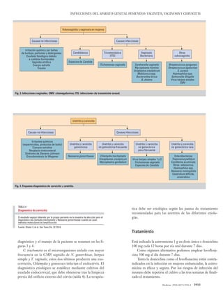 Medicine. 2010;10(57):3910-4   3913
Infecciones del aparato genital femenino: vaginitis, vaginosis y cervicitis
diagnóstico y el manejo de la paciente se resumen en las fi-
guras 3 y 4.
C. trachomatis es el microorganismo aislado con mayor
frecuencia en la CMP, seguido de N. gonorrhoeae, herpes
simple y T. vaginalis, estos dos últimos producen una exo-
cervicitis, Chlamydia y gonococo infectan el endocérvix. El
diagnóstico etiológico se establece mediante cultivos del
exudado endocervical, que debe obtenerse tras la limpieza
previa del orificio externo del cérvix (tabla 4). La terapéu-
Irritación quiímica por baños
de burbuja, perfumes y detergentes
Exudado fisiológico debido
a cambios hormonales
Vaginitis atrófica
Cuerpo extraño
Trauma
Especies de Candida
Trichomonas vaginalis Gardnerella vaginalis
Mycoplasma hominis
Ureplasma urealyticum
Mobiluncus spp.
Bacteroides bivius
B. disiens
Streptococcus pyogenes
Streptococcus agalactiae
S. aureus
Haemophilus spp.
Salmonella-Shigella
Virus herpes simplex
CMV
Candidiásica Otras
vulvovaginitis
Causas no infecciosas Causas infecciosas
Vulvovaginitis y vaginosis en mujeres
Tricomoniásica
(ITS)
Vaginosis
Bacteriana
Fig. 3. Infecciones vaginales. CMV: citomegalovirus; ITS: infecciones de transmisión sexual.
Virus herpes simplex 1 y 2
Trichomonas vaginalis
Especies de Candida
Neisseria gonorrhoeae
Irritantes químicos
(espermicidas, productos de baño)
Cuerpos extraños
Neoplasia endoureteral
Síndrome de Stevens-Johnson
Granulomatosis de Wegener Chlamydia trachomatis
Ureaplasma urealyticum
Mycoplasma genitalium
Enterobacterias
Treponema pallidum
Condiloma acuminata
Otros: adenovirus,
Haemophilus spp.
Neisseria meningitidis
Clostridium difficile,
anaerobios
Uretritis y cervicitis
gonocócica
Uretritis y cervicitis
no gonocócica rara
Causas no infecciosas
Uretritis y cervicitis
Uretritis y cervicitis
no gonocócica frecuente
Uretritis y cervicitis
no gonocócica
poco frecuente
Causas infecciosas
Fig. 4. Esquema diagnóstico de cervicitis y uretritis.
tica debe ser etiológica según las pautas de tratamiento
recomendadas para las uretritis de las diferentes etiolo-
gías.
Tratamiento
Está indicada la azitromicina 1 g en dosis única o doxiciclina
100 mg cada 12 horas por vía oral durante 7 días.
Como régimen alternativo podemos emplear levofloxa-
cino 500 mg al día durante 7 días.
Tanto la doxiciclina como el levofloxacino están contra-
indicados en la infección en mujeres embarazadas, la azitro-
micina es eficaz y segura. Por los riesgos de infección del
neonato debe repetirse el cultivo a las tres semanas de finali-
zado el tratamiento.
TABLA 4
Diagnóstico de cervicitis
El exudado vaginal obtenido por la propia paciente es la muestra de elección para el
diagnóstico de Clamydia trachomatis y Neisseria gonorrhoeae cuando se usan
métodos moleculares de amplificación.
Fuente: Shater V, et al. Sex Trans Dis. 32:725-8.
05 ACTUAL 57 (3910-3914).indd 3913 25/5/10 12:01:45
Documento descargado de http://www.elsevierinsituciones.com el 19/08/2011. Copia para uso personal, se prohíbe la transmisión de este documento por cualquier medio o formato.
 