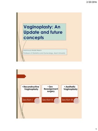 2/20/2016
1
Vaginoplasty: An
Update and future
concepts
Mahmoud Abdel-Aleem
Professor of Obstetrics and Gynecology, Assiut University
•Reconstructive
Vaginoplasty
Section I
• Sex
Reassignment
surgery
Section II
•Aesthetic
Vaginoplasty
Section III
 