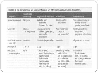 Vaginosis bacteriana