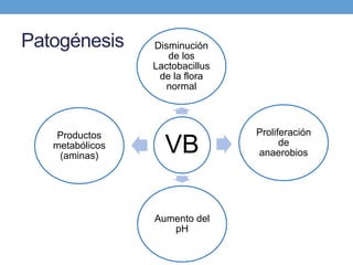 Patogénesis
VB
Disminución
de los
Lactobacillus
de la flora
normal
Proliferación
de
anaerobios
Aumento del
pH
Productos
metabólicos
(aminas)
 