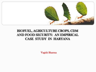 BIOFUEL, AGRICULTURE CROPS, CDM AND FOOD SECURITY:  AN EMPIRICAL CASE  STUDY  IN  HARYANA  Vagish Sharma 