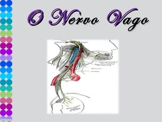 O NO Nervoervo VVagoago