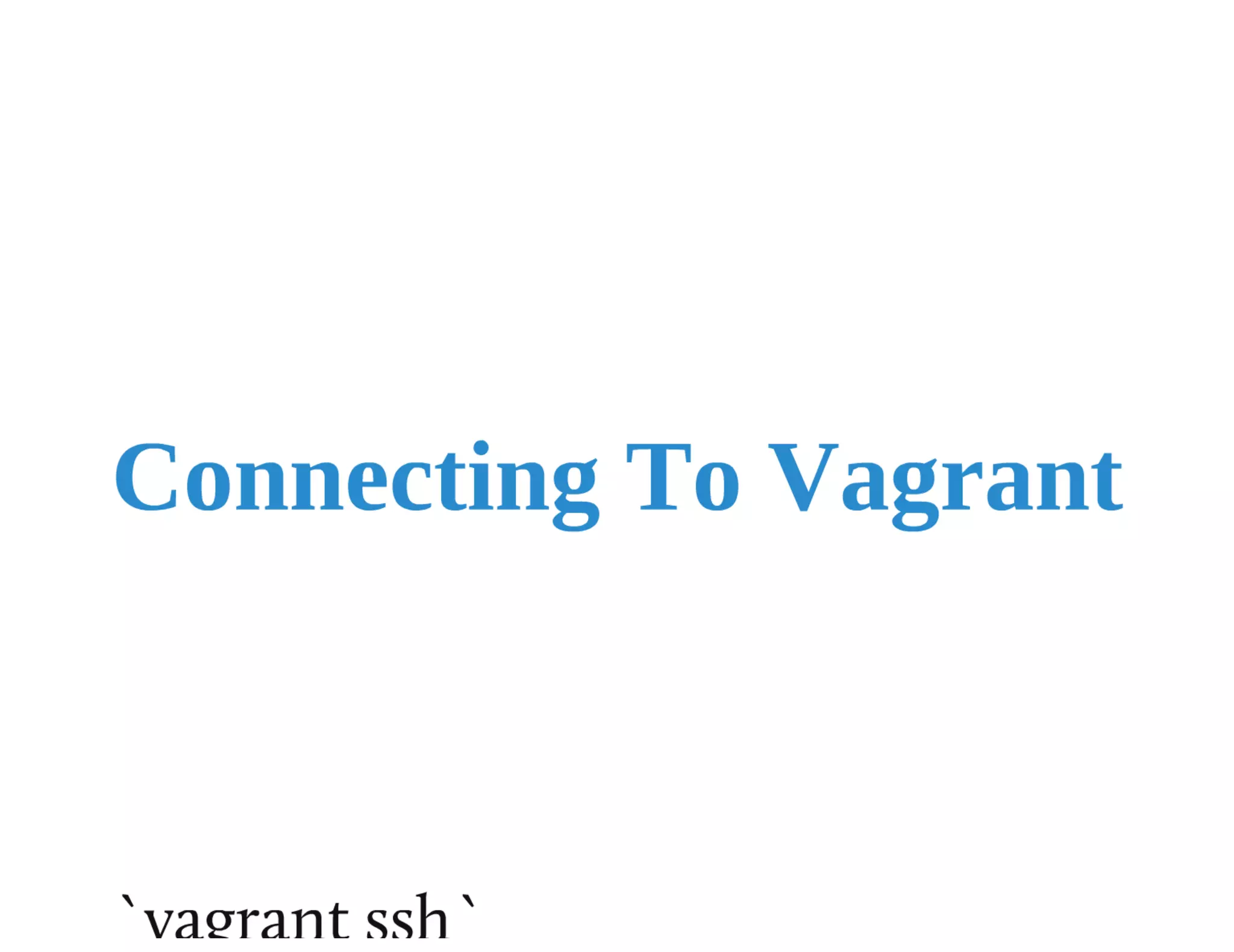 Vagrant puppet