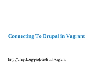 Vagrant puppet