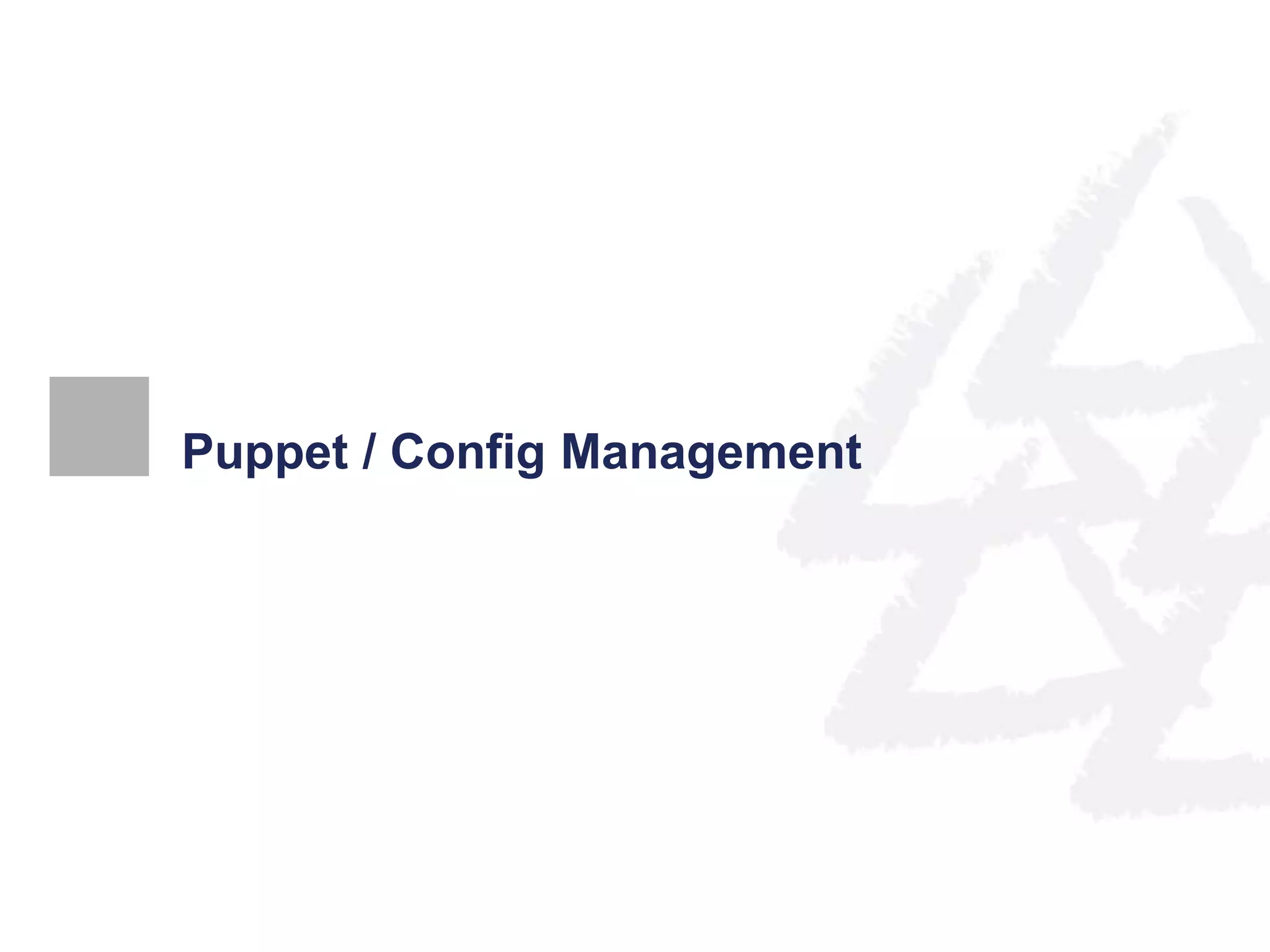 Puppet / Config Management 
 