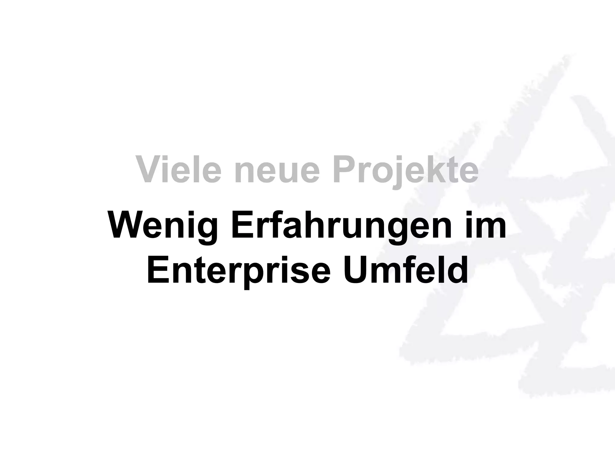 Viele neue Projekte 
Wenig Erfahrungen im 
Enterprise Umfeld 
 