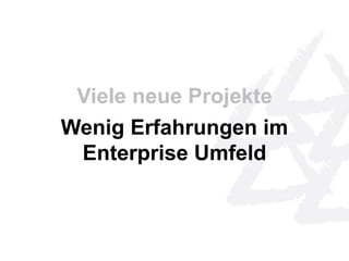 Viele neue Projekte 
Wenig Erfahrungen im 
Enterprise Umfeld 
 