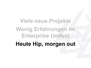 Viele neue Projekte 
Wenig Erfahrungen im 
Enterprise Umfeld 
Heute Hip, morgen out 
 