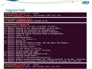 Vagrant halt
 