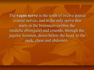 TheThe vagus nervevagus nerve is the tenth of twelve pairedis the tenth of twelve paired
cranial nervescranial nerves, and is the only nerve that, and is the only nerve that
starts in thestarts in the brainstembrainstem (within the(within the
medulla oblongatamedulla oblongata) and extends, through the) and extends, through the
jugular foramenjugular foramen, down below the, down below the headhead, to the, to the
neck, chest andneck, chest and abdomenabdomen..
 