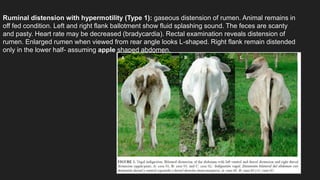 Volvulus In Ruminants Vagus indigestion | PPTX