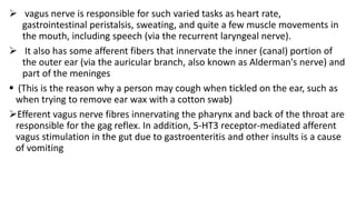  vagus nerve is responsible for such varied tasks as heart rate,
gastrointestinal peristalsis, sweating, and quite a few muscle movements in
the mouth, including speech (via the recurrent laryngeal nerve).
 It also has some afferent fibers that innervate the inner (canal) portion of
the outer ear (via the auricular branch, also known as Alderman's nerve) and
part of the meninges
 (This is the reason why a person may cough when tickled on the ear, such as
when trying to remove ear wax with a cotton swab)
Efferent vagus nerve fibres innervating the pharynx and back of the throat are
responsible for the gag reflex. In addition, 5-HT3 receptor-mediated afferent
vagus stimulation in the gut due to gastroenteritis and other insults is a cause
of vomiting
 