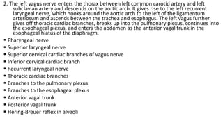 2. The left vagus nerve enters the thorax between left common carotid artery and left
subclavian artery and descends on the aortic arch. It gives rise to the left recurrent
laryngeal nerve, which hooks around the aortic arch to the left of the ligamentum
arteriosum and ascends between the trachea and esophagus. The left vagus further
gives off thoracic cardiac branches, breaks up into the pulmonary plexus, continues into
the esophageal plexus, and enters the abdomen as the anterior vagal trunk in the
esophageal hiatus of the diaphragm.
 Pharyngeal nerve
 Superior laryngeal nerve
 Superior cervical cardiac branches of vagus nerve
 Inferior cervical cardiac branch
 Recurrent laryngeal nerve
 Thoracic cardiac branches
 Branches to the pulmonary plexus
 Branches to the esophageal plexus
 Anterior vagal trunk
 Posterior vagal trunk
 Hering-Breuer reflex in alveoli
 