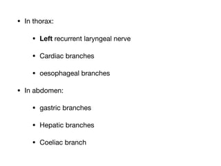 • In thorax:

• Left recurrent laryngeal nerve

• Cardiac branches

• oesophageal branches

• In abdomen:

• gastric branches

• Hepatic branches

• Coeliac branch
 