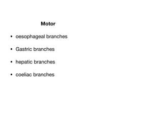 Motor
• oesophageal branches

• Gastric branches

• hepatic branches

• coeliac branches
 