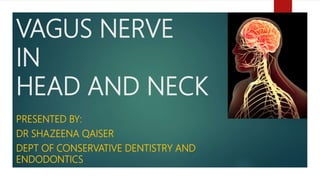 VAGUS NERVE
IN
HEAD AND NECK
PRESENTED BY:
DR SHAZEENA QAISER
DEPT OF CONSERVATIVE DENTISTRY AND
ENDODONTICS
 