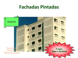 Fachadas Pintadas
Fungos,
Algas e Bactérias
Substrato
Kay Uemoto
Neide Sato
Marcia Shirakawa
 