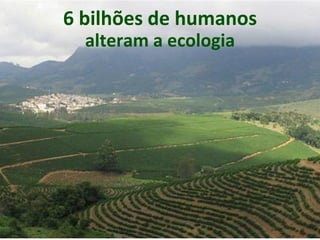 Coffee Plantation in São João do
Manhuaçu City - Minas Gerais State -
Brazil
This photo was taken in January-2004 by
Fernando Rebêlo
6 bilhões de humanos
alteram a ecologia
 