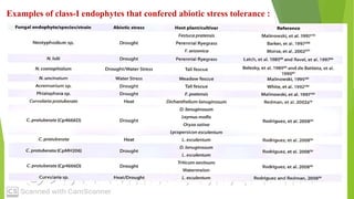 Endophytes Examples Endophytes | PPTX