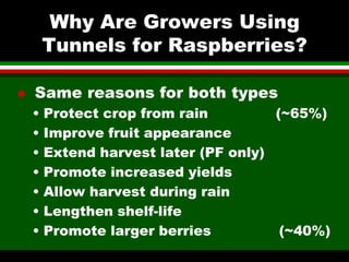 Why Raspberry Torus Remain High Tunnel Raspberries A to Z | PDF