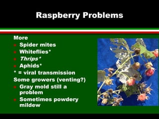 High Tunnel Raspberries A to Z | PDF