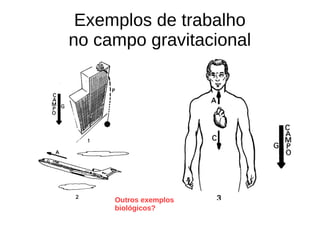 Exemplos de trabalho
no campo gravitacional
Outros exemplos
biológicos?
 