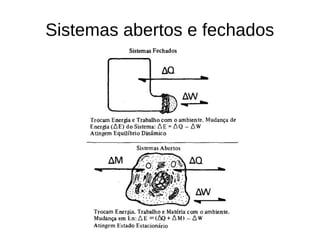 Sistemas abertos e fechados
 