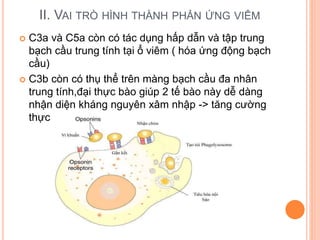 Vai trò-bổ-thể | PPTX