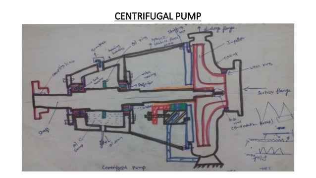 Case study on centrifugal pumps picture