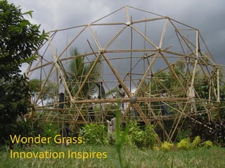 Wonder Grass:
Innovation Inspires
 