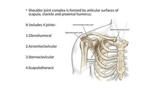 Comprehensive Anatomy and Surgical Approaches of the Shoulder Joint | PPTX