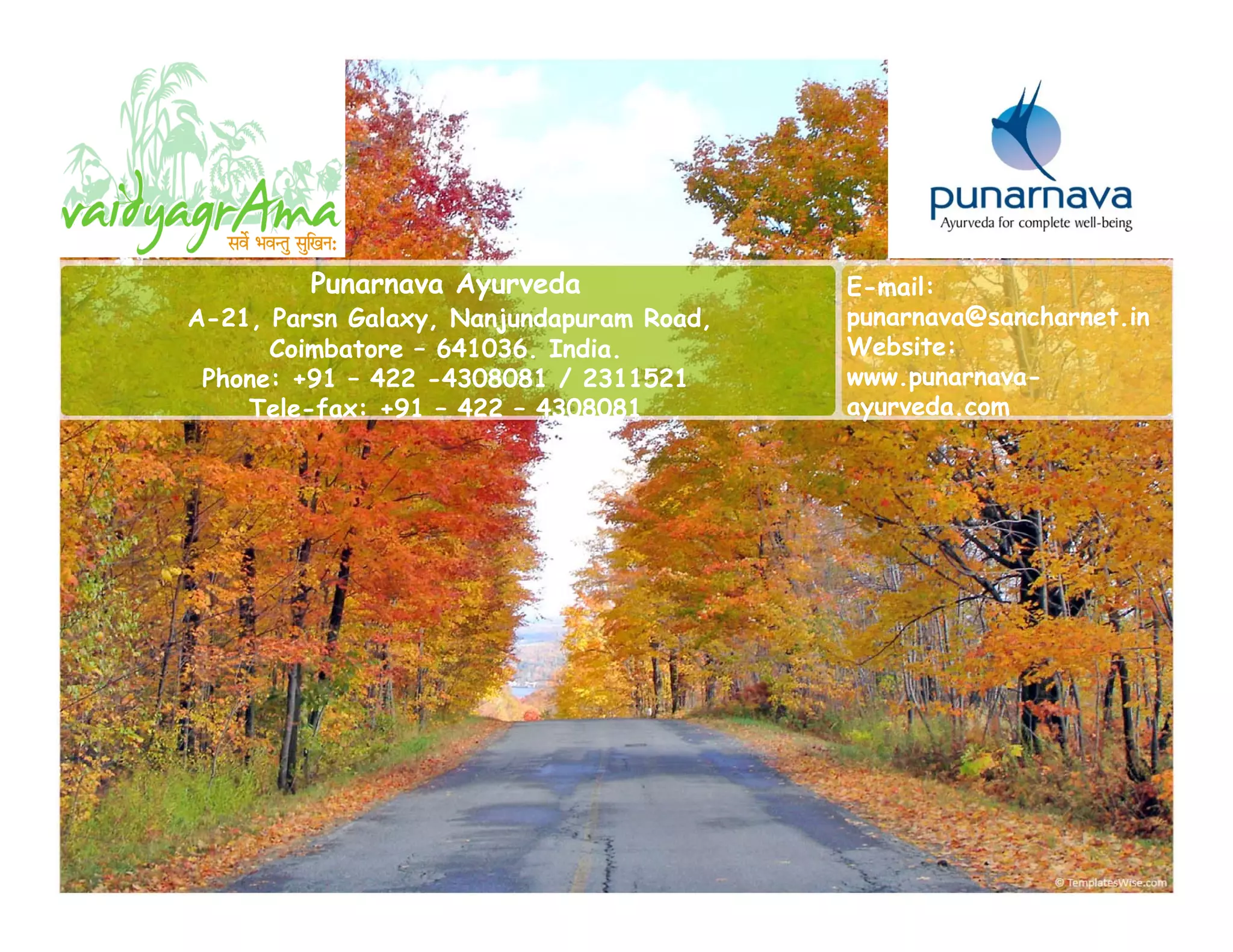 Dec 2008 vaidyagrama, Punarnava's Ayurveda healing village PPT