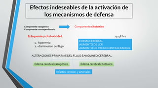 Efectos indeseables de la activación de
los mecanismos de defensa
Componente vasogenico
Componente transependimario
Componente citotóxico
b) Isquemia y citotoxicidad.
1.- hiperemia
2.- disminucion del flujo
EDEMA CEREBRAL
AUMENTO DE LCR
AUMENTO DE PRESION INTRACRANEAL
ALTERACIONES PRIMARIAS DEL FLUJO SANGUINEOCEREBRAL
Edema cerebral vasogénico Edema cerebral citotóxico
Infartos venosos y arteriales
24-48 hrs
 