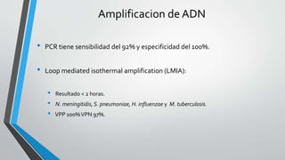 Amplificacion de ADN
• PCR tiene sensibilidad del 92% y especificidad del 100%.
• Loop mediated isothermal amplification (LMIA):
• Resultado < 2 horas.
• N. meningitidis,S. pneumoniae, H. influenzae y M. tuberculosis.
• VPP 100%VPN 97%.
 