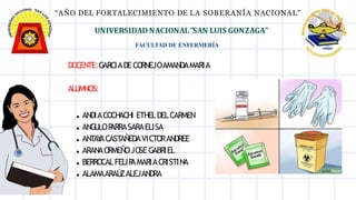 UNIVERSIDAD NACIONAL"SAN LUIS GONZAGA"
FACULTAD DE ENFERMERÍA
DOCENTE:GARCIADECORNEJOAMANDAMARIA
ALUMNOS:
ANDIACOCHACHI ETHELDELCARMEN
ANGU
LOP
ARRASARAELISA
ANTAY
ACASTAÑEDAVICTORANDREE
ARANAORMEÑOJOSE GABRIEL
BERROCALFELIP
AMARIACRISTINA
ALAMAARAÚ
ZALEJANDRA
“AÑO DEL FORTALECIMIENTO DE LA SOBERANÍA NACIONAL”
 