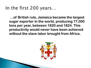 …of British rule, Jamaica became the largest
sugar exporter in the world, producing 77,000
tons per year, between 1820 and 1824. This
productivity would never have been achieved
without the slave labor brought from Africa.
 