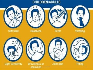 meningitis | PPTX