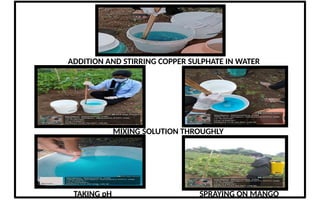 organic wastes and their use for production of biogas and manures .pptx