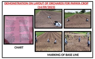 organic wastes and their use for production of biogas and manures .pptx