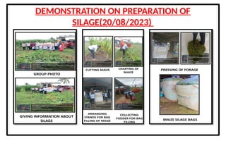 organic wastes and their use for production of biogas and manures .pptx