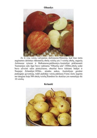 Obuolys




      Jis iš visų vaisių vartojamas dažniausiai.Manoma, kad šiuo metu
auginamos dešimtys tūkstančių obelų veislių yra 3 veislių obelų, augusių
Artimuose rytuose ir Balkanuose,palikuonys.Australijai priklausanti
Tasmanijos sala ilgai buvo vadinama “Obuolių sala”.1840m.obelų sodai
buvo užveisti salos pietryčiuose, obuoliai buvo tiekiami Indijai ir
Naujajai Zelandijai.1850m., atradus aukso, Australijoje gerokai
padaugėjo gyventojų, todėl padidėjo vaisių paklausa.Vienu metu auginta
net daugiau kaip 500 obelų veislių.Šiandien šis skaičius yra sumažėjęs iki
10 veislių.

                                Kriaušė
 